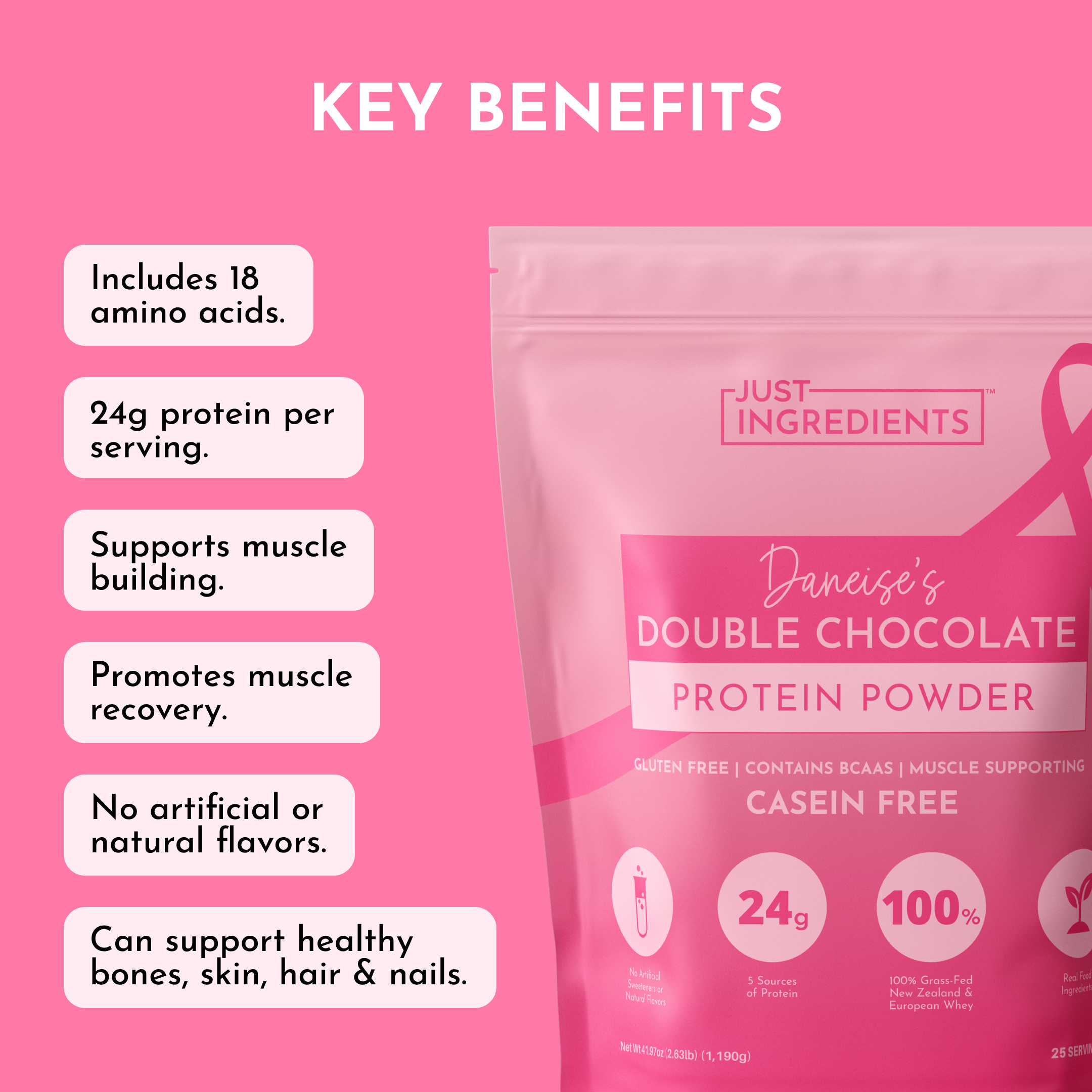 Daneise's Double Chocolate Protein Powder