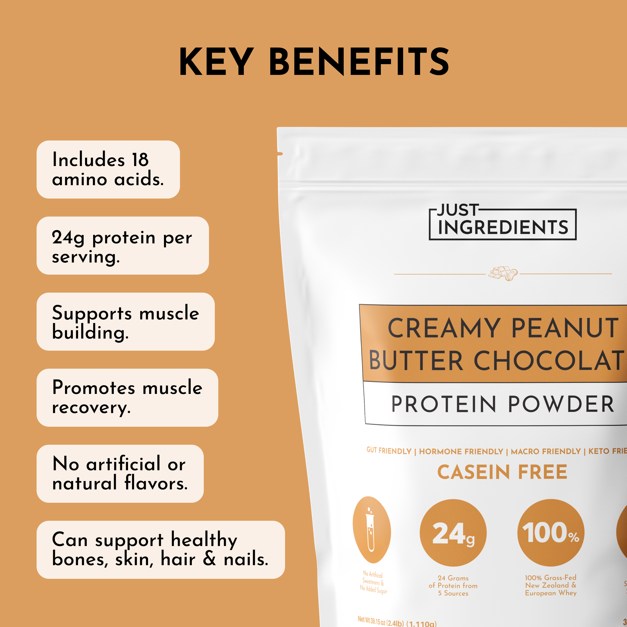 Creamy Peanut Butter Chocolate Protein Powder