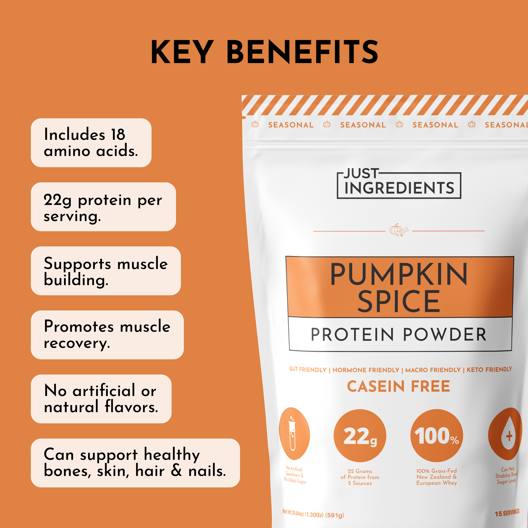 Pumpkin Spice Protein Powder