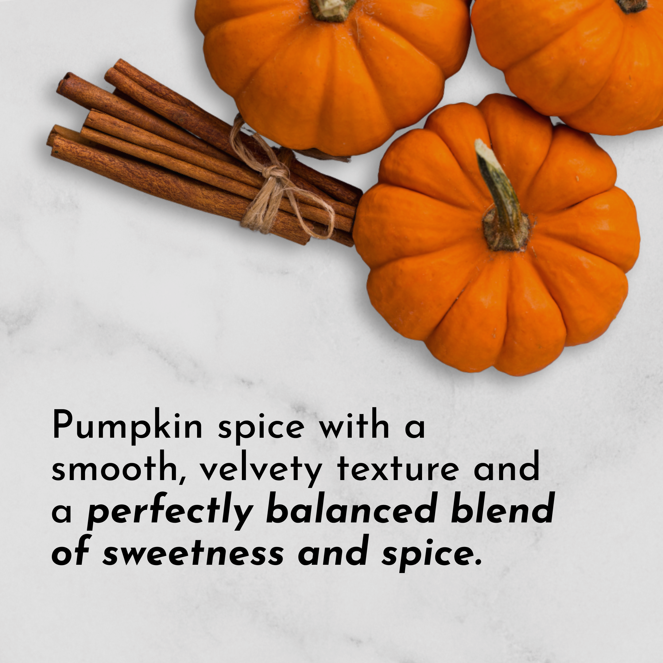 Pumpkin Spice Protein Powder