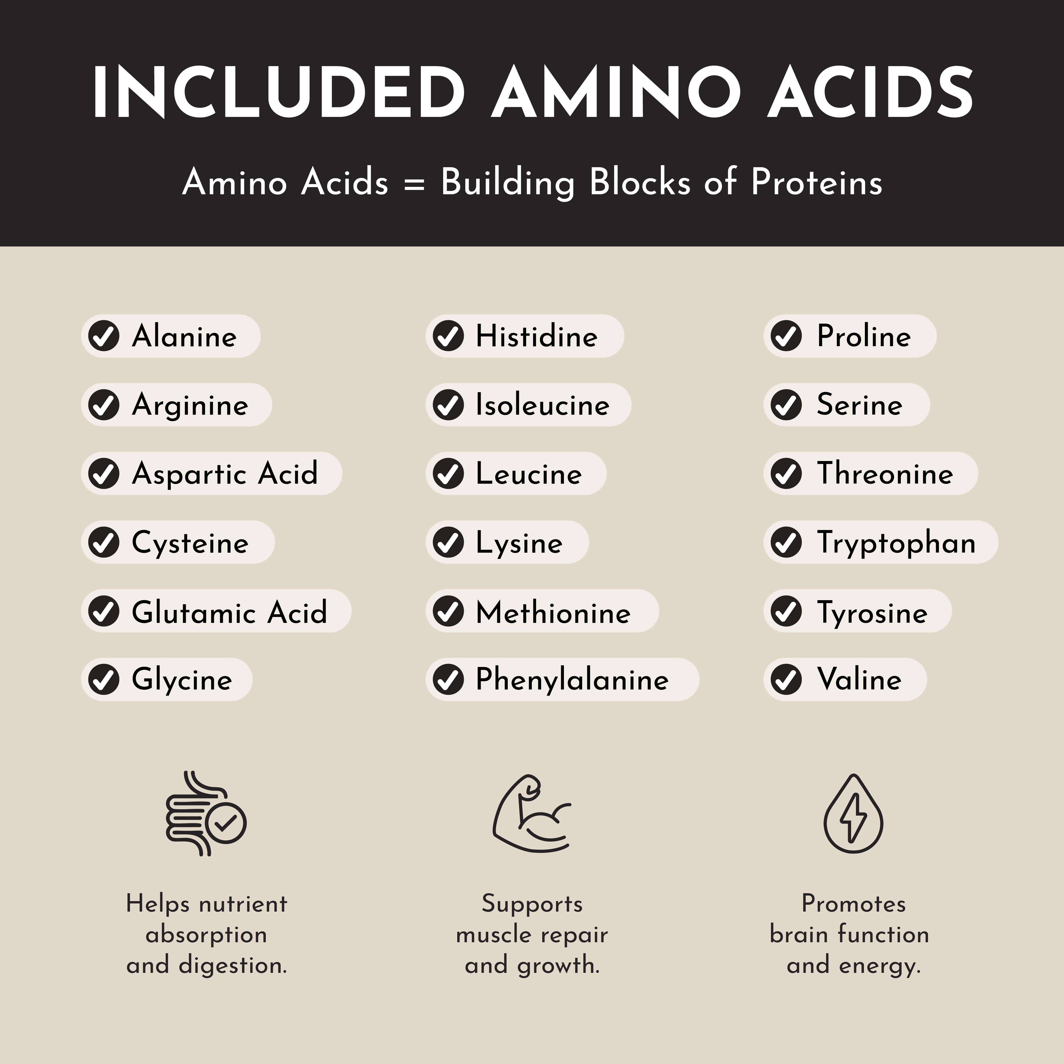 Vanilla Bean Protein Powder Stick