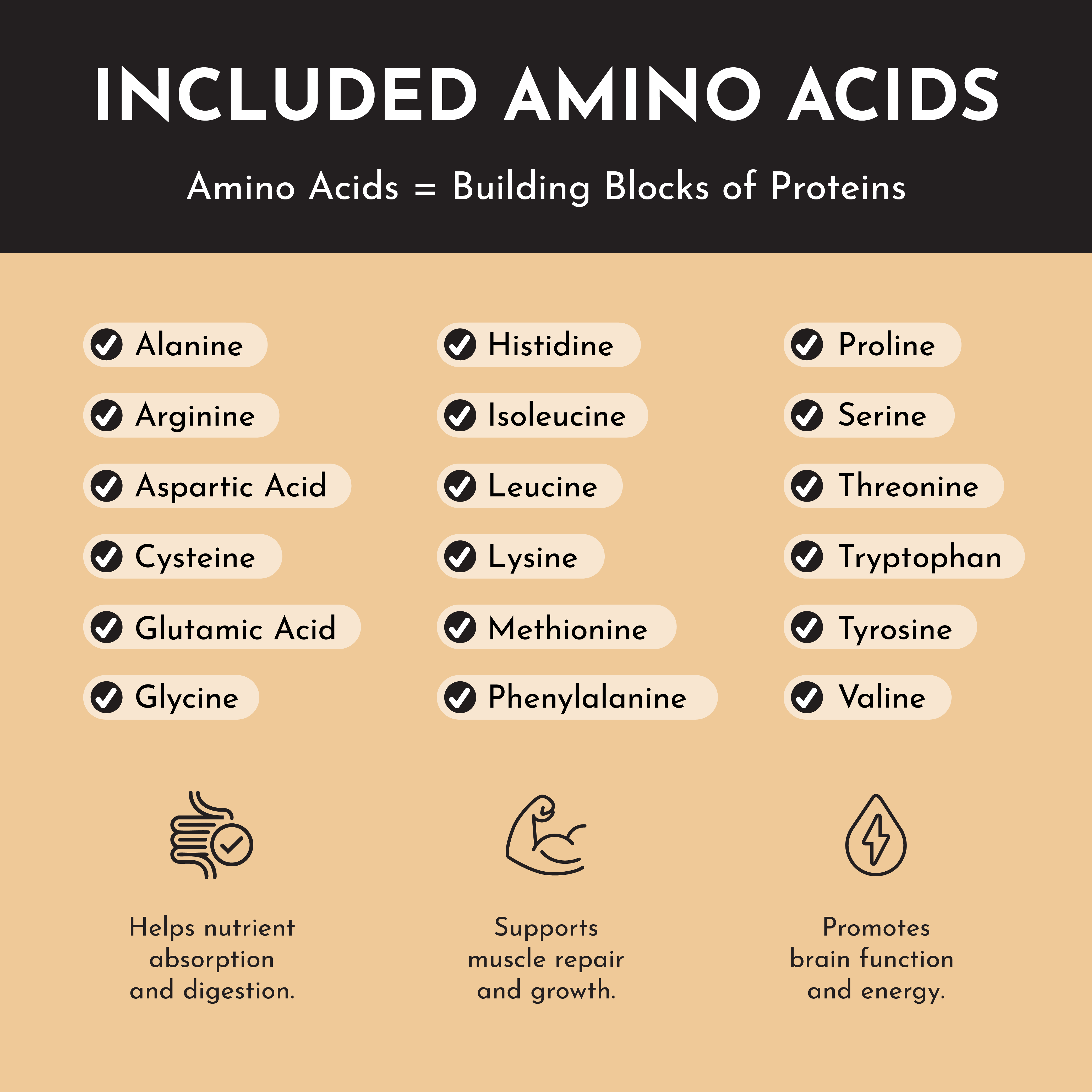 French Vanilla Protein Powder Stick