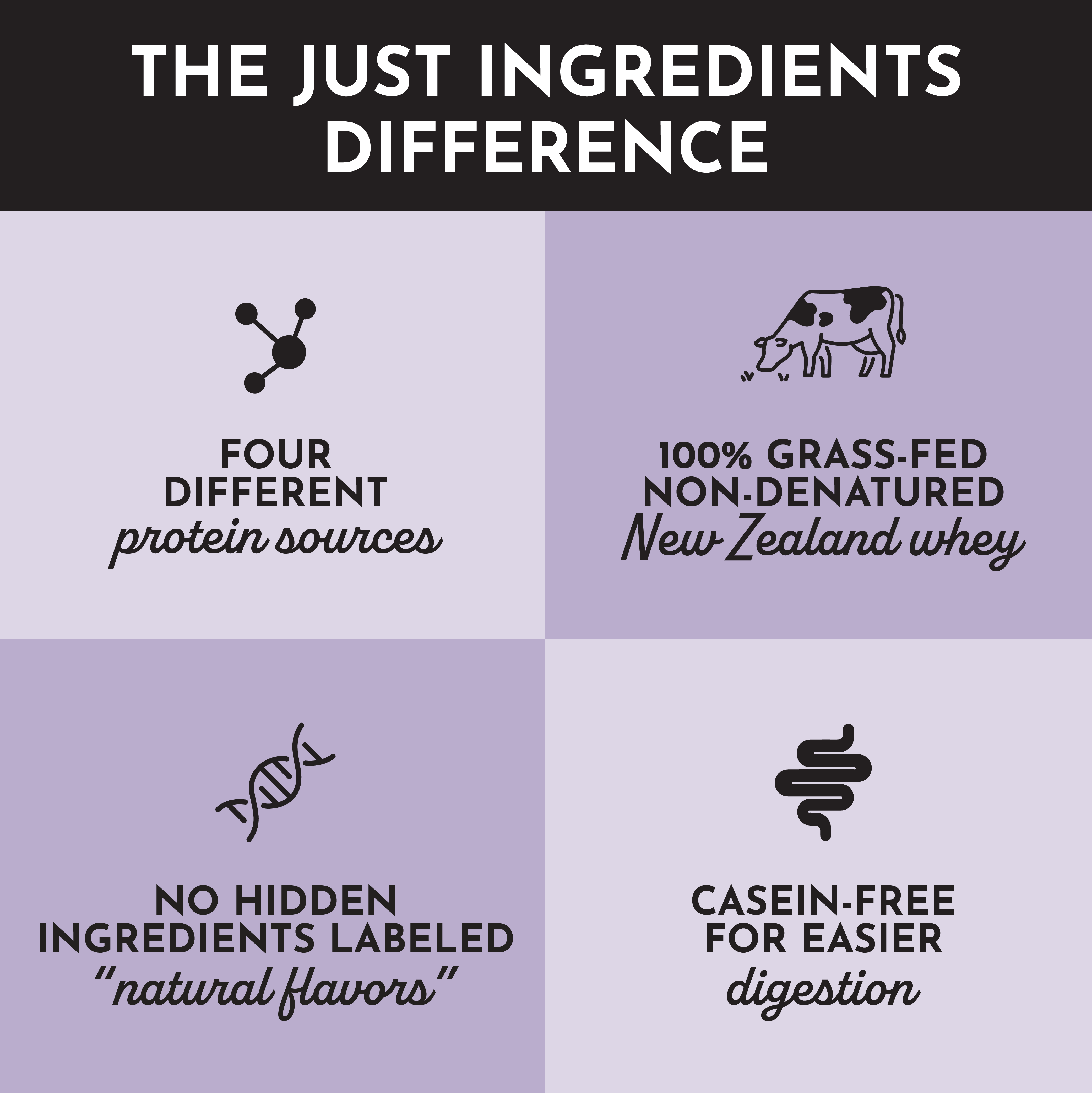 Mountain Berry Protein Powder Stick