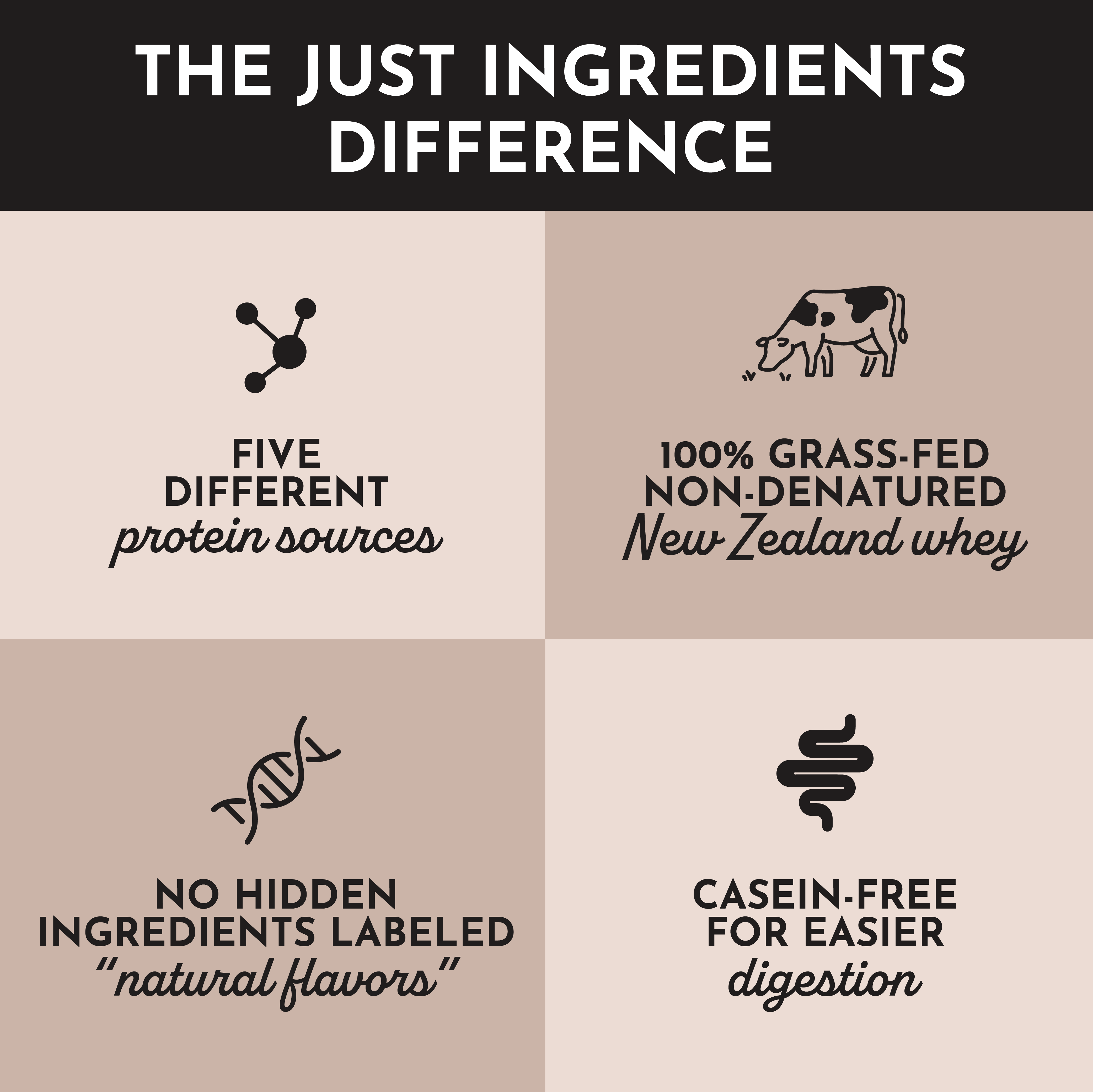 Chocolate Protein Powder Stick