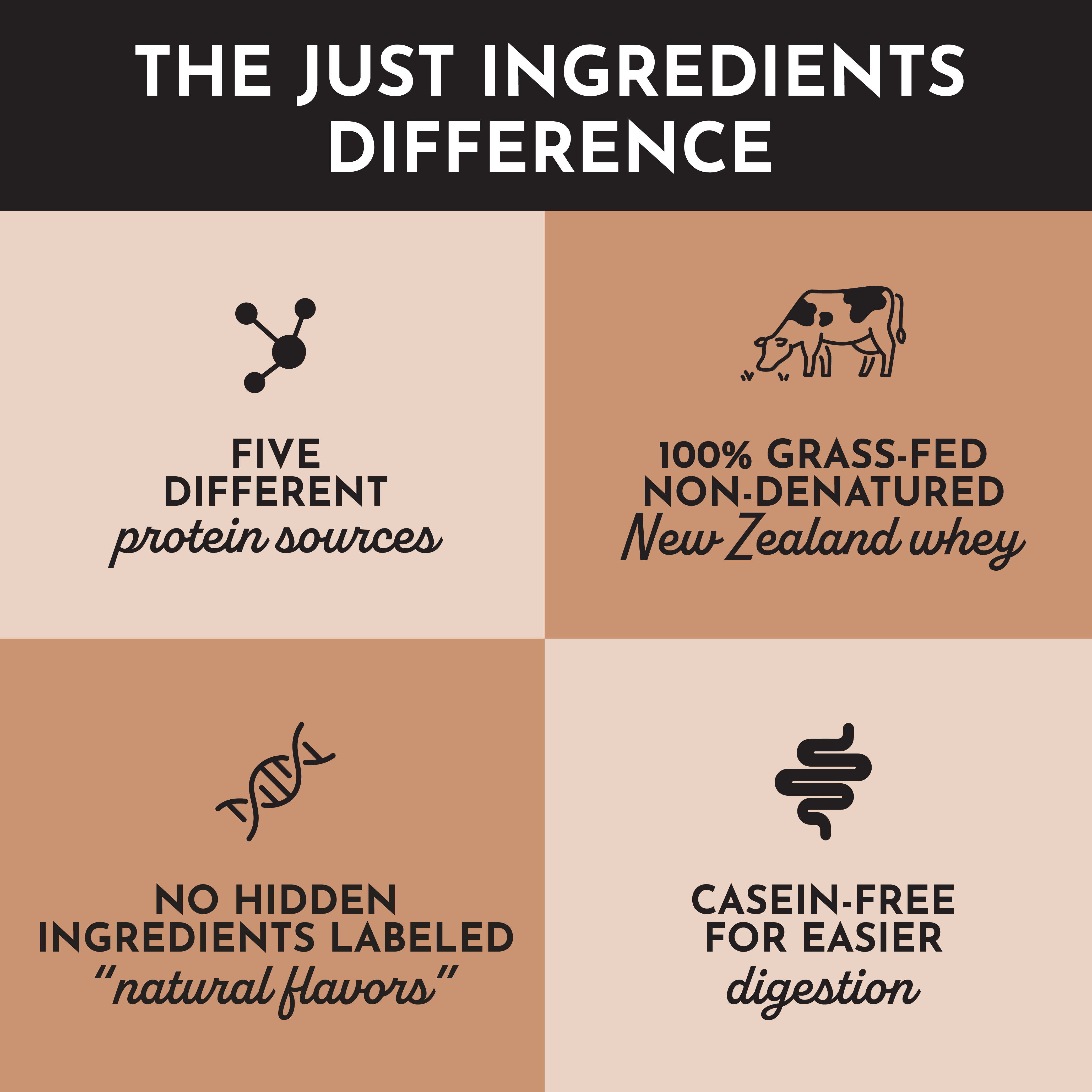 Roasted Peanut Butter Chocolate Protein Powder Stick