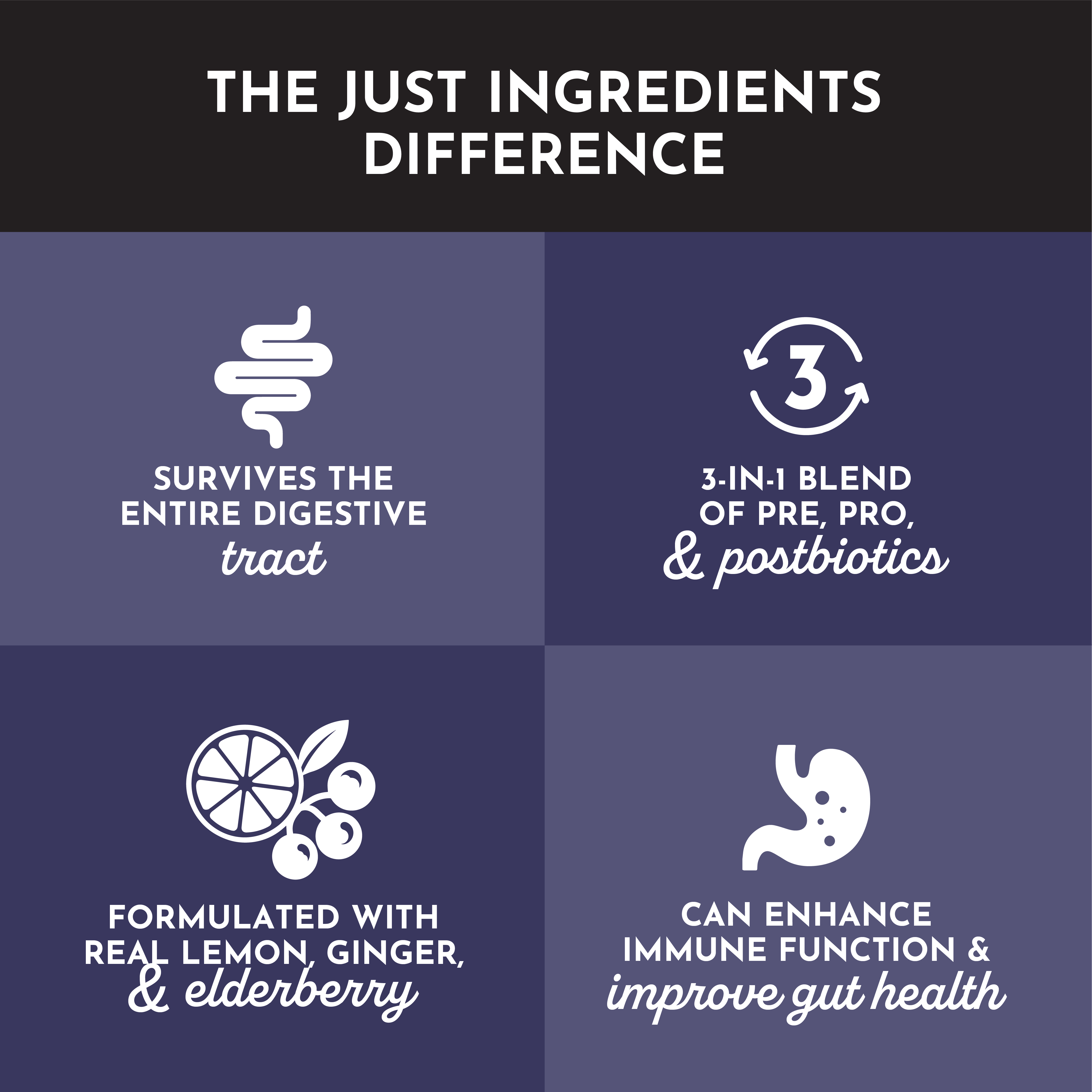 Elderberry Lemonade 3-In-1 Probiotic Complex