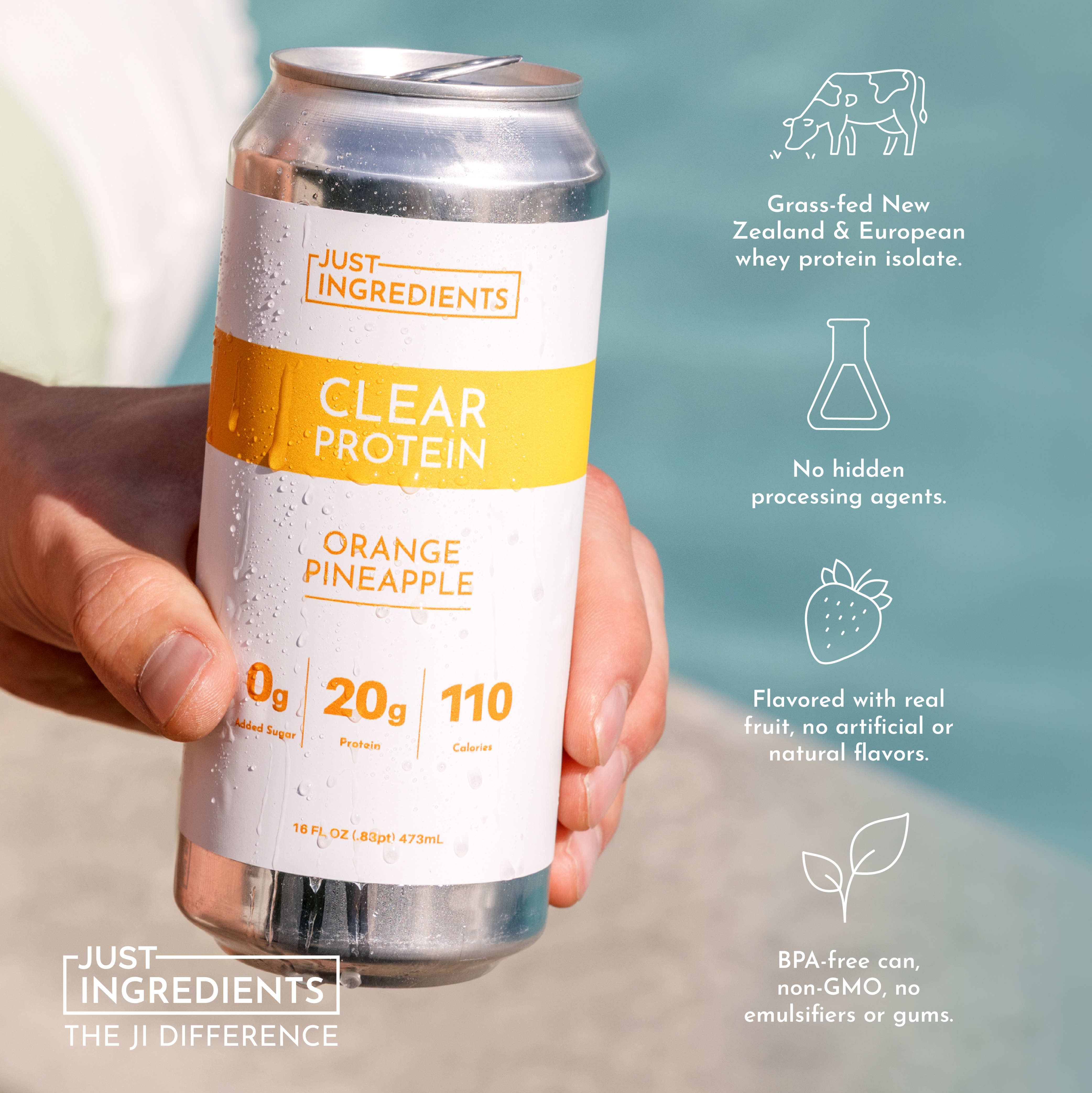 Orange Pineapple Clear Protein (8 pack)