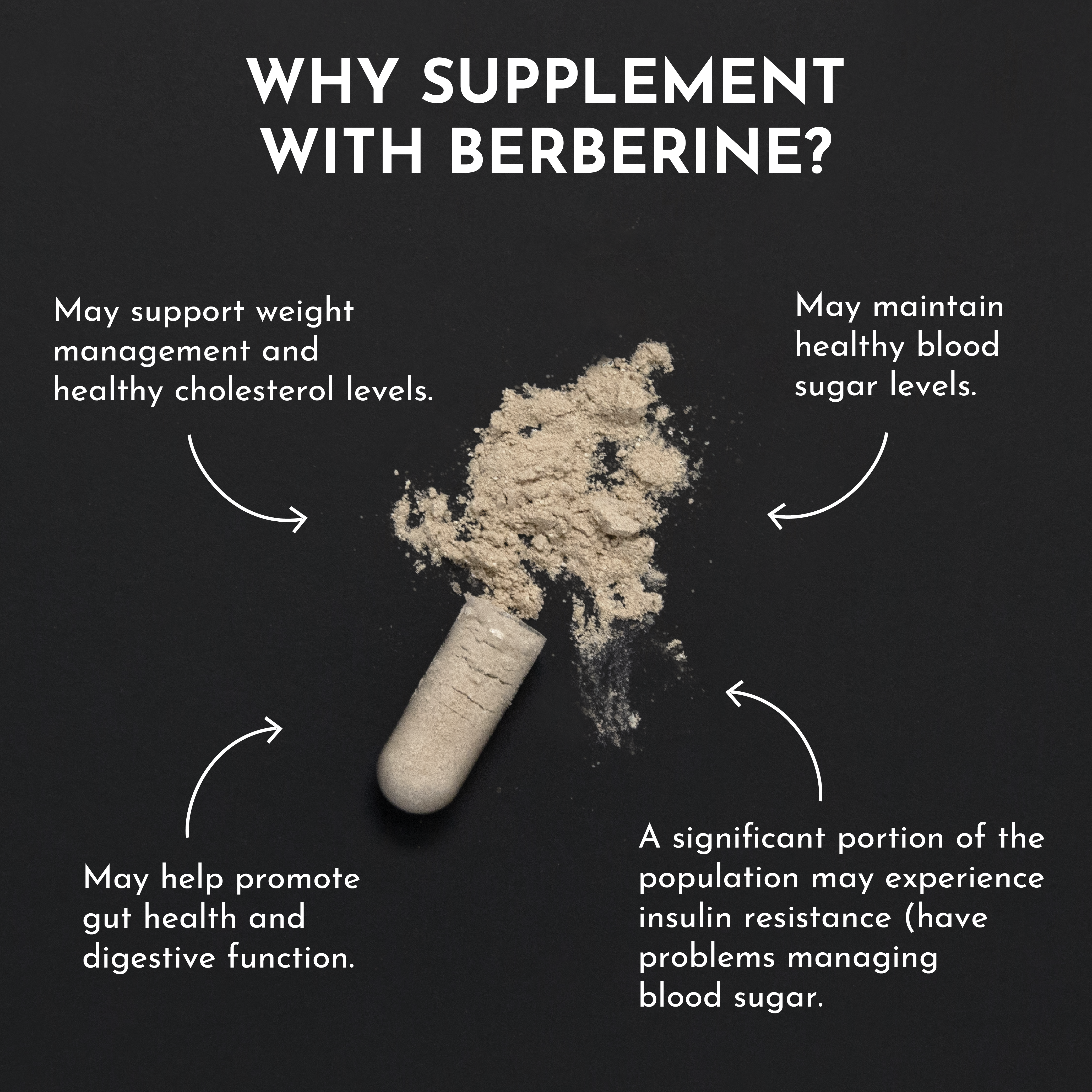 Berberine Supplement