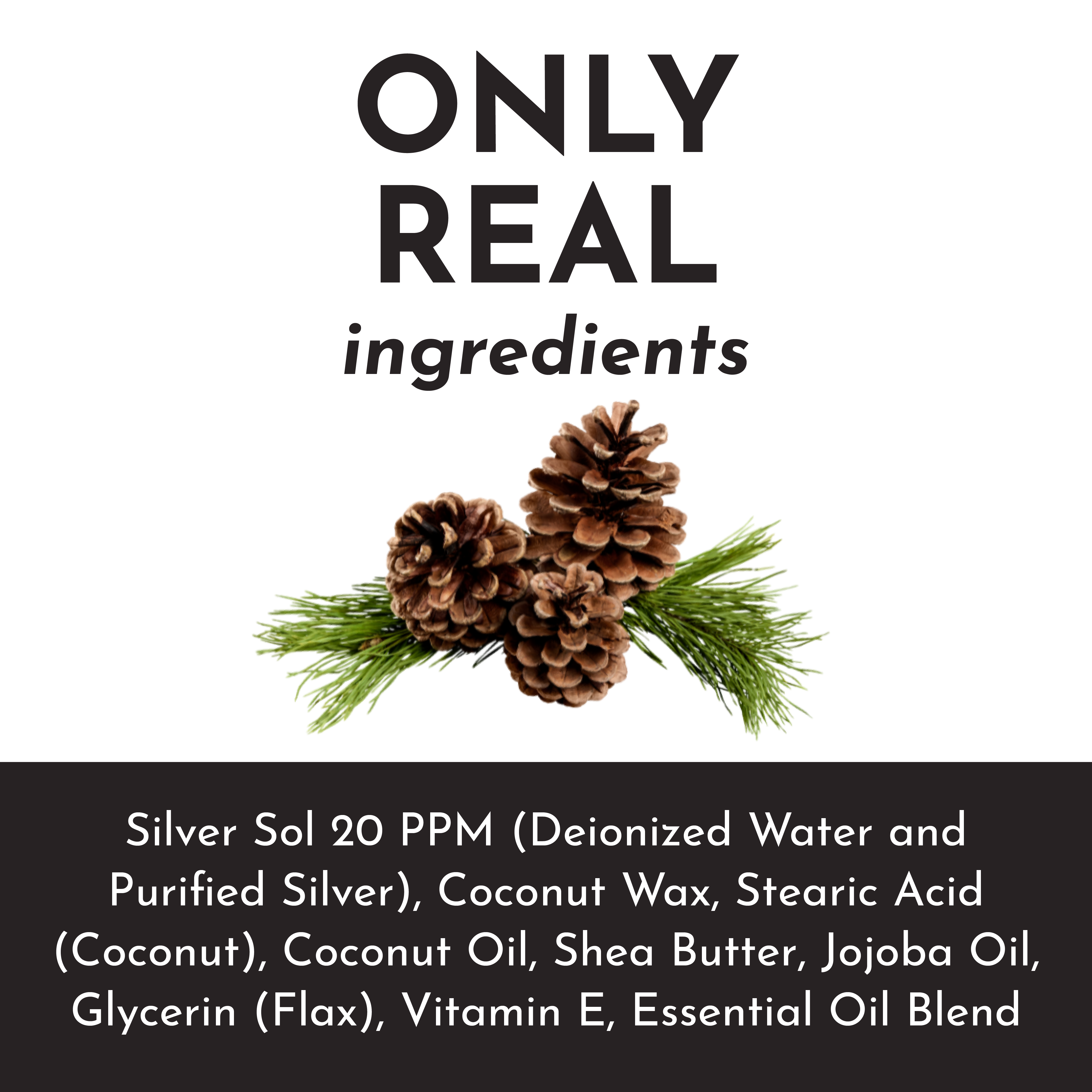 Mountain Pine Body Lotion