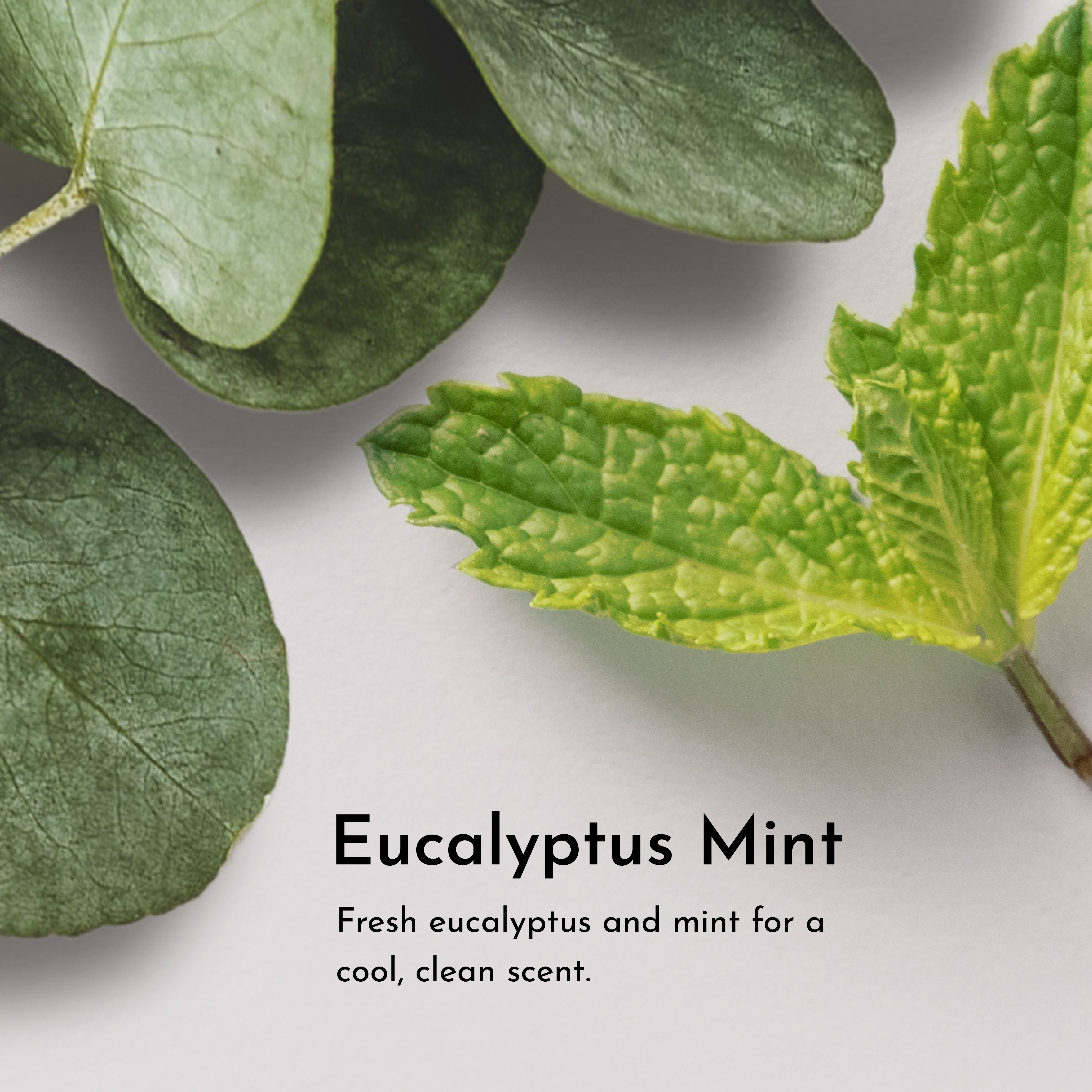 Face Serum Oil - 1 oz