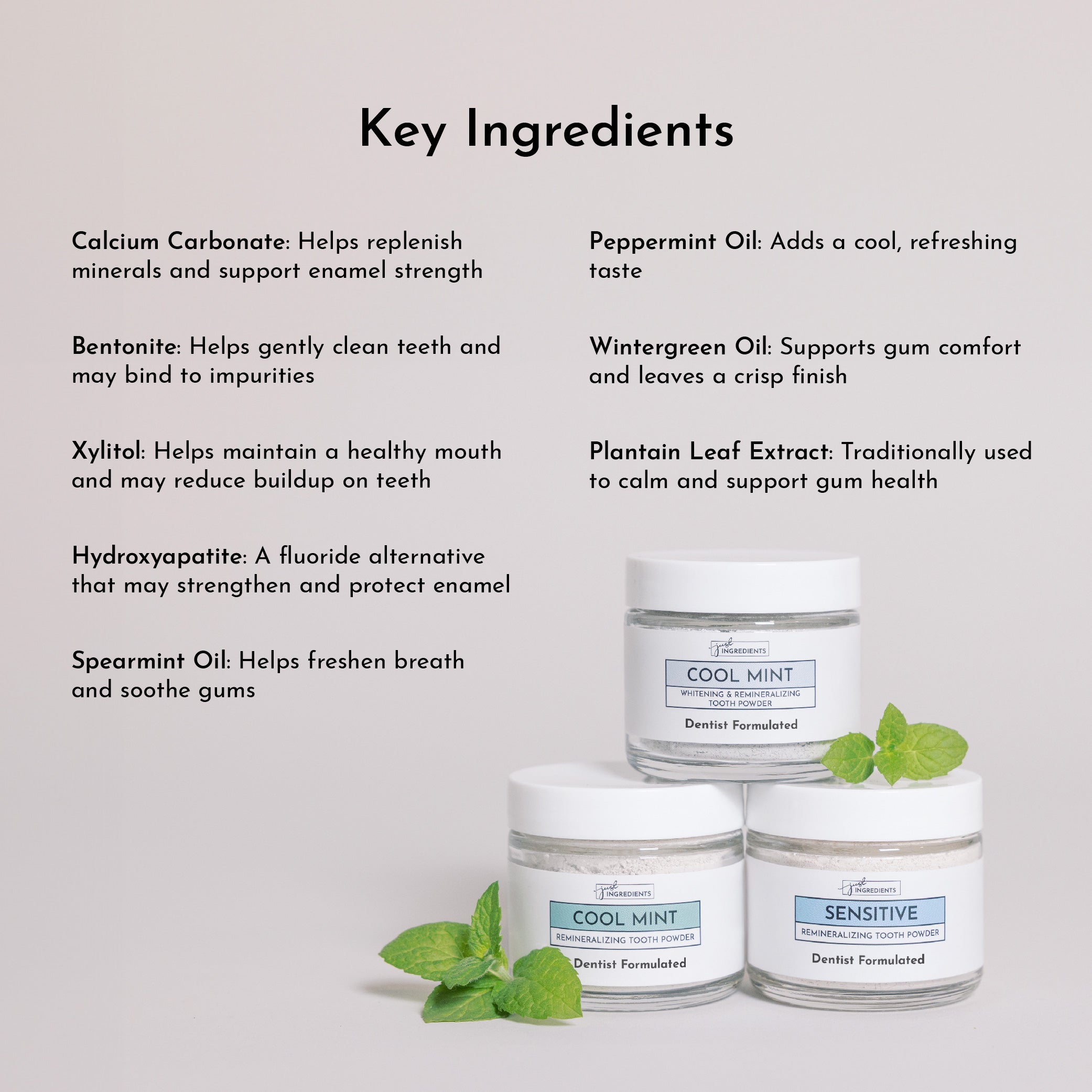 Remineralizing Tooth Powder (Mint)