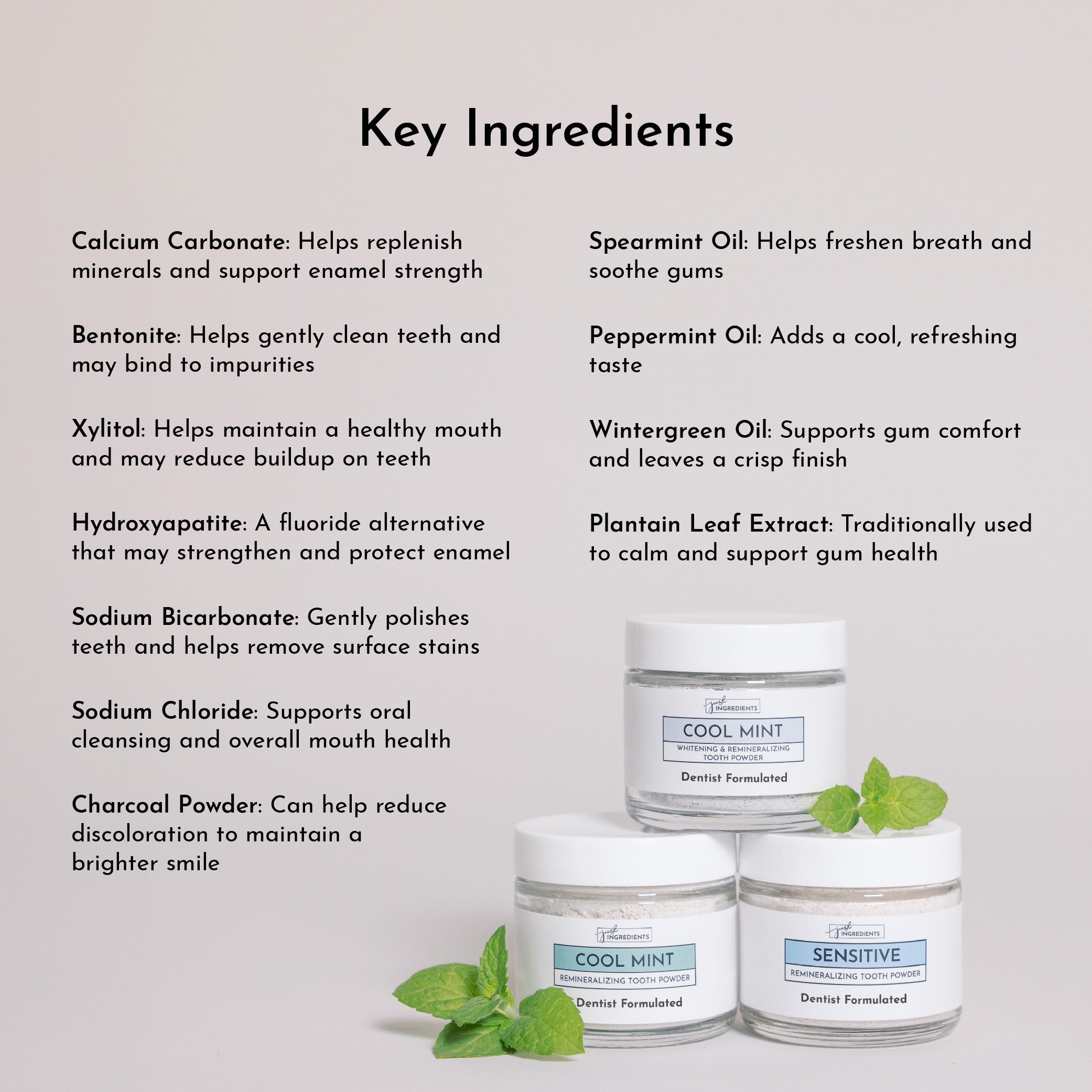 Whitening Remineralizing Tooth Powder (Mint)