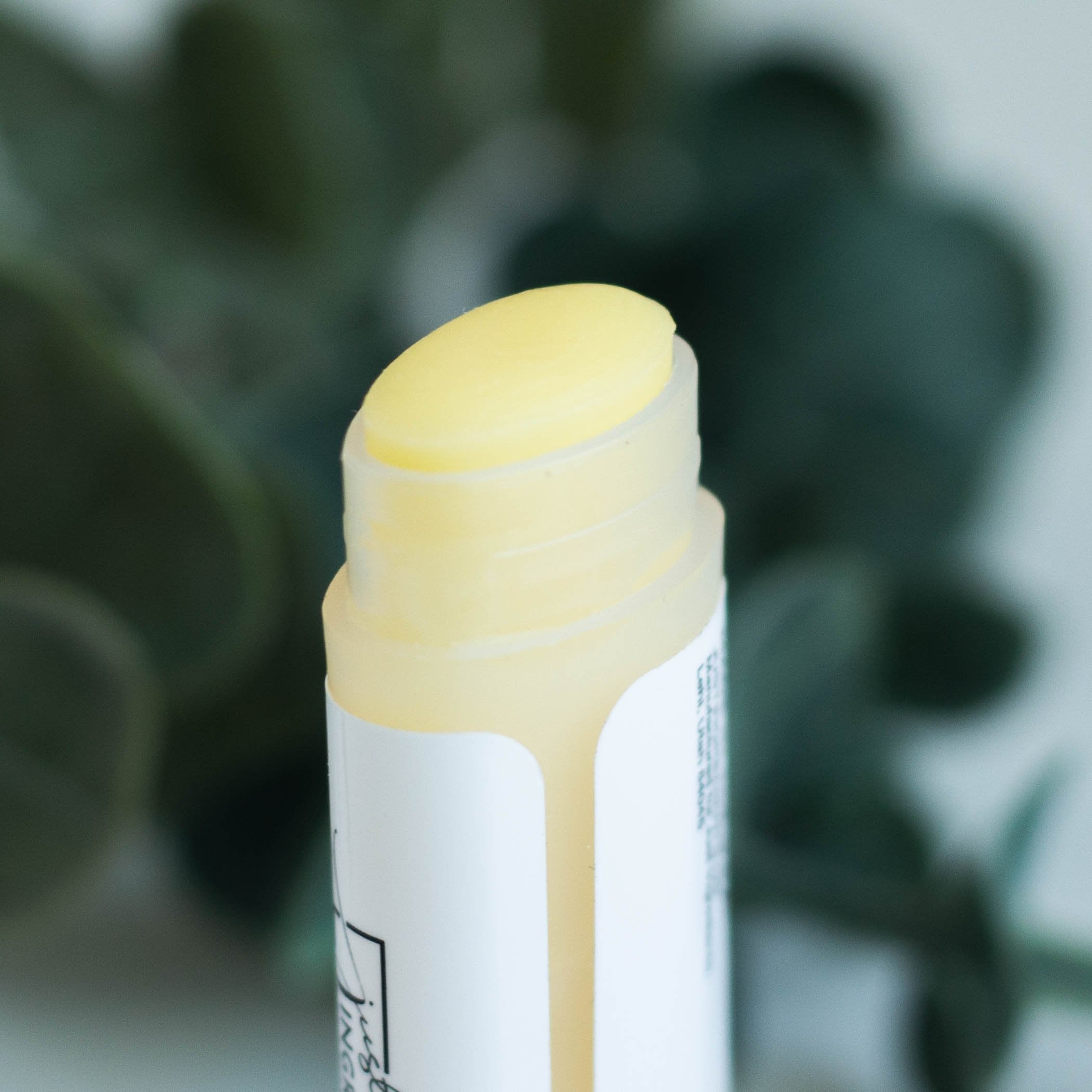 Coconut Vanilla Lip Balm